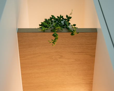 Detail van maatwerk kast in leefruimte